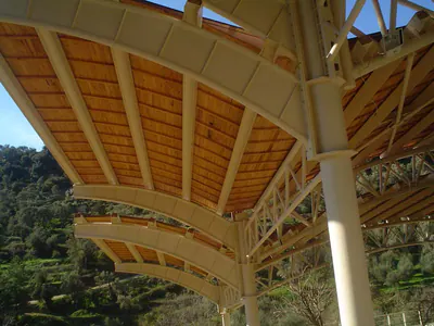 Curved shelter roof with a timber-lined underside on white steel columns, wooded hillside beyond
